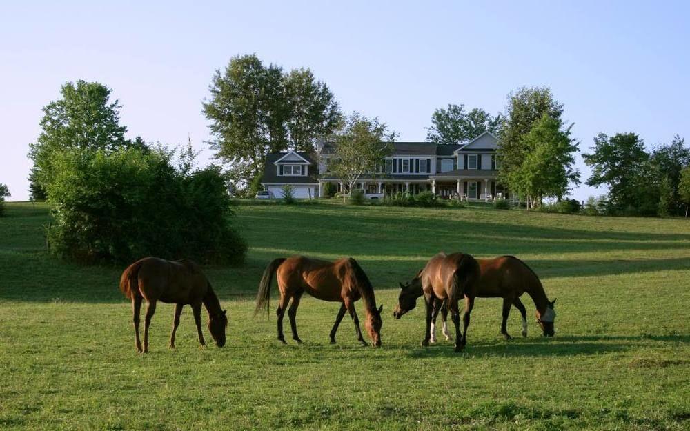 The At Westwynd Farm