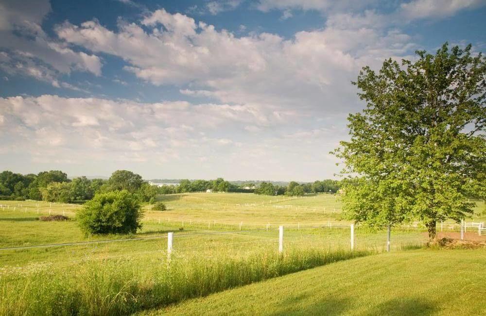 Bed & Breakfast The At Westwynd Farm 4*